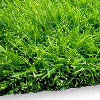 Wykładzina sztuczna trawa Roland Garros 45mm,
