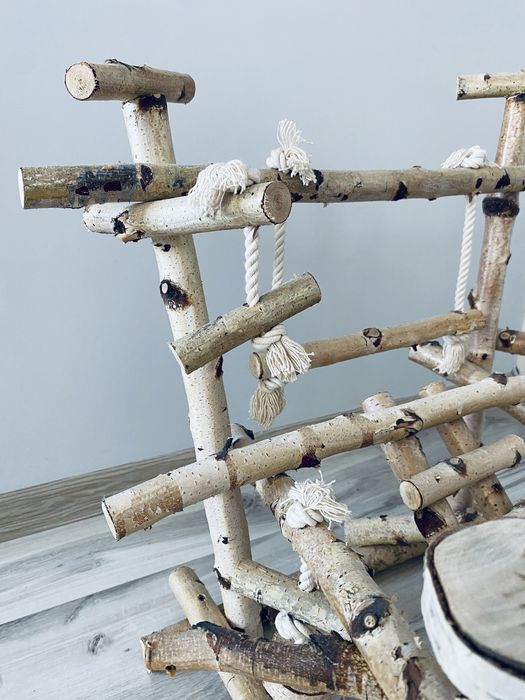 Plac zabaw dla papug