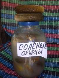 Огурцы соленые,урожай,3л-100 грн