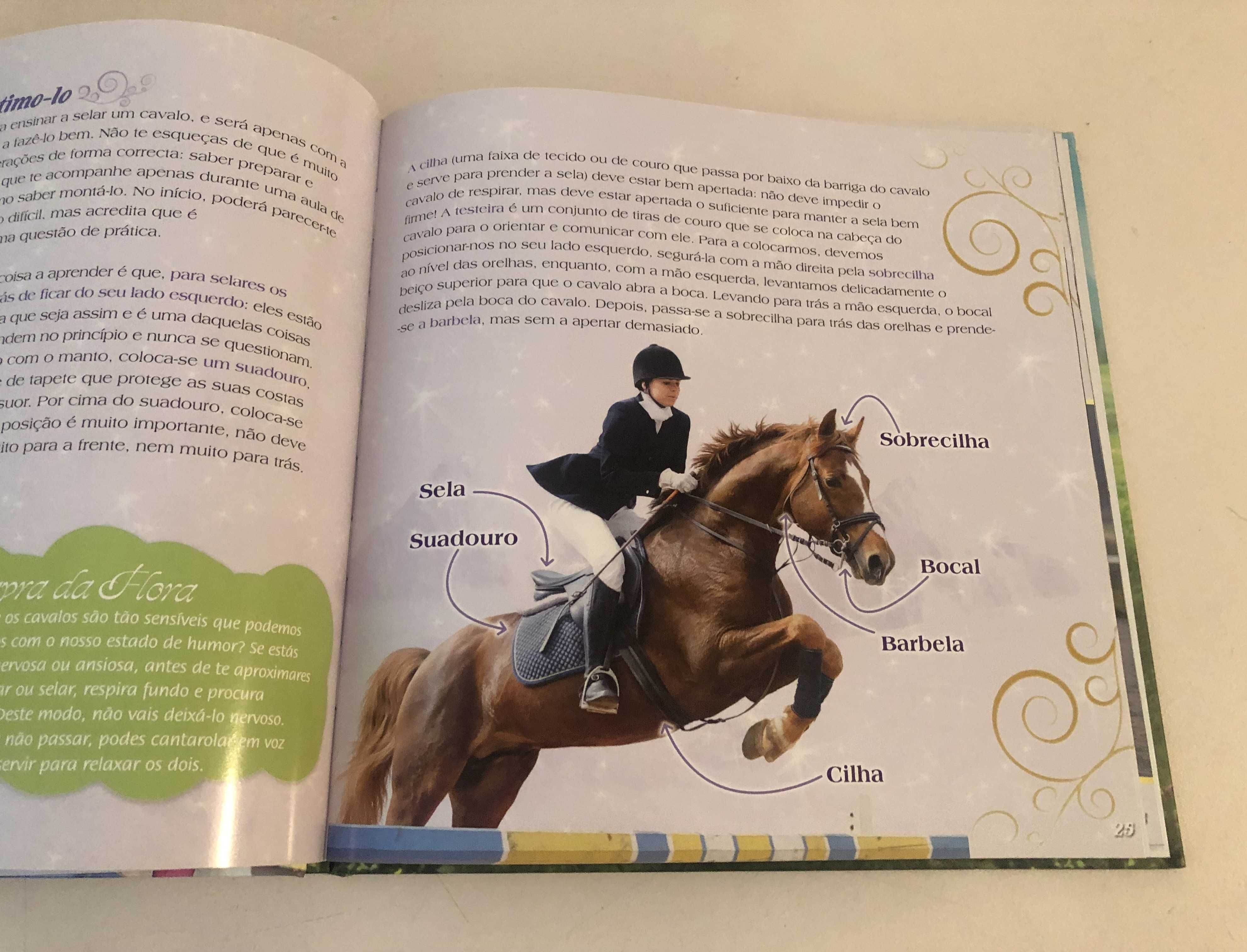 Livro "Peg - o Cavalo Mágico" (com muitas informações sobre cavalos)