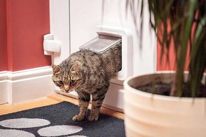Drzwiczki Dla Kota Elektroniczne Wahadłowe Smart App Sure Petcare