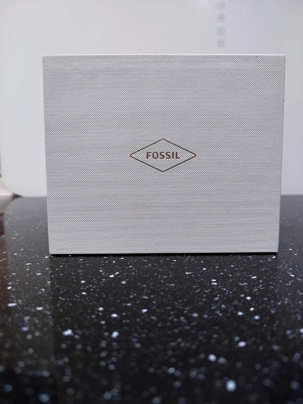 Чоловічий Годинник FOSSIL