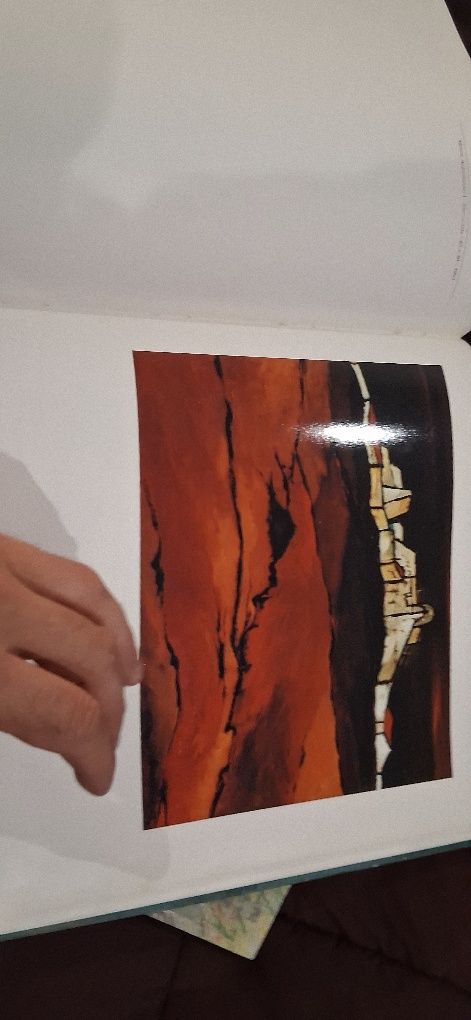 Livro pintura Manuela Pinheiro