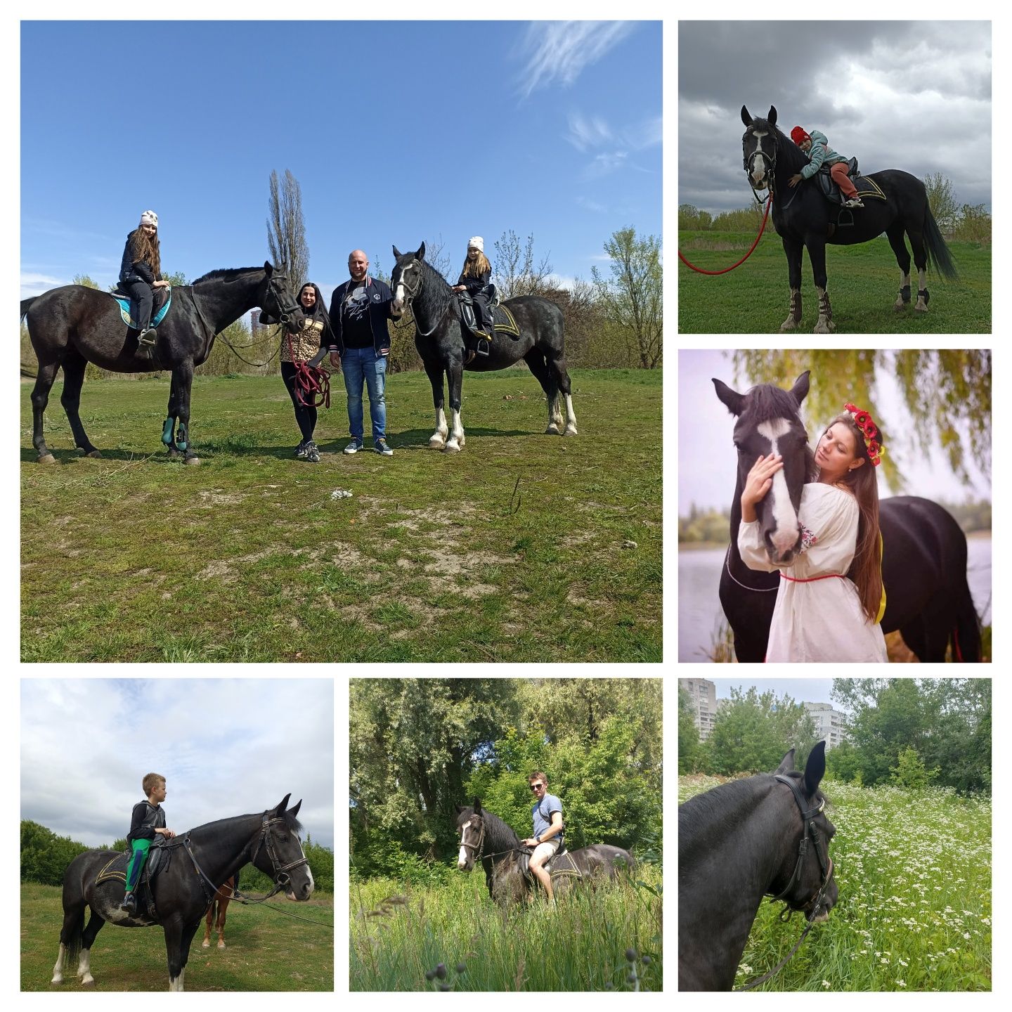 Прогулки на лошадях, фитнес на лошади, фотосессии с лошадью
