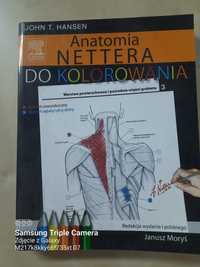 Anatomia Nettera do kolorowania