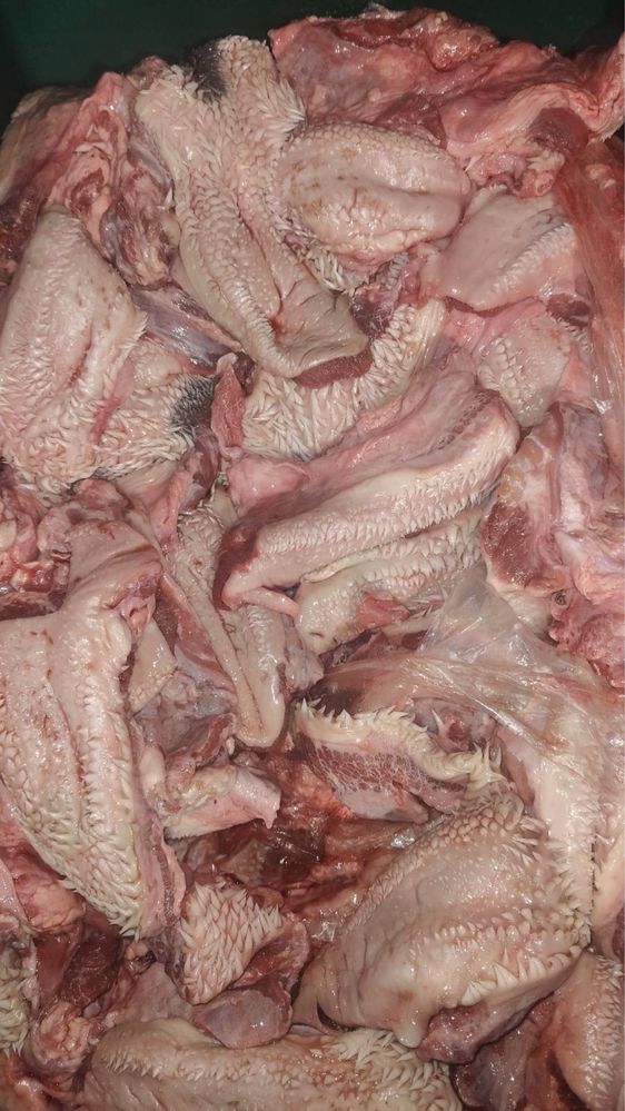 Субпродукти яловичі печінка мʼясообрізь фарш для собак