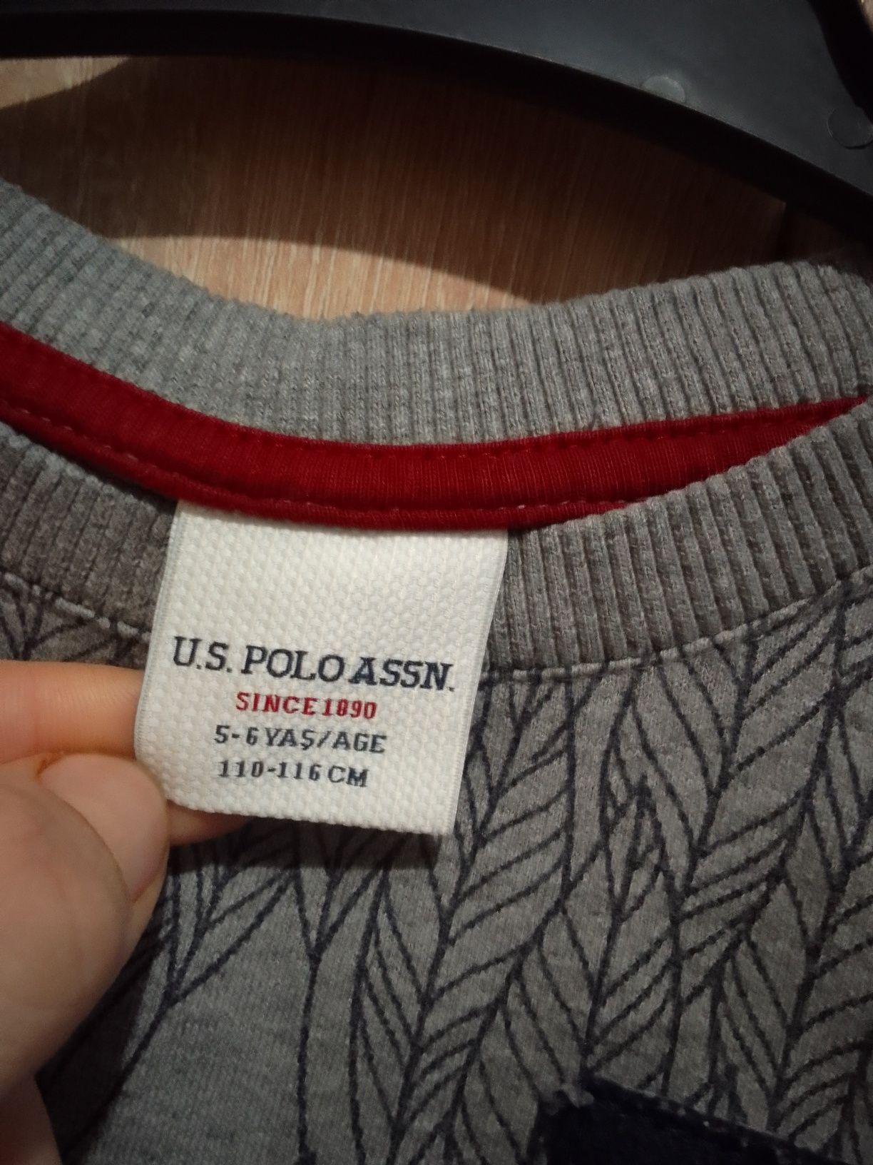 Us Polo Assn szara bluza chłopięca 110cm