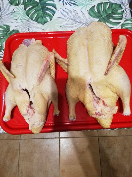 Kaczki francuskie tuszki