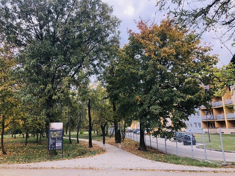 Piękne mieszkanie dwupokojowe na Gaju z widokiem na park