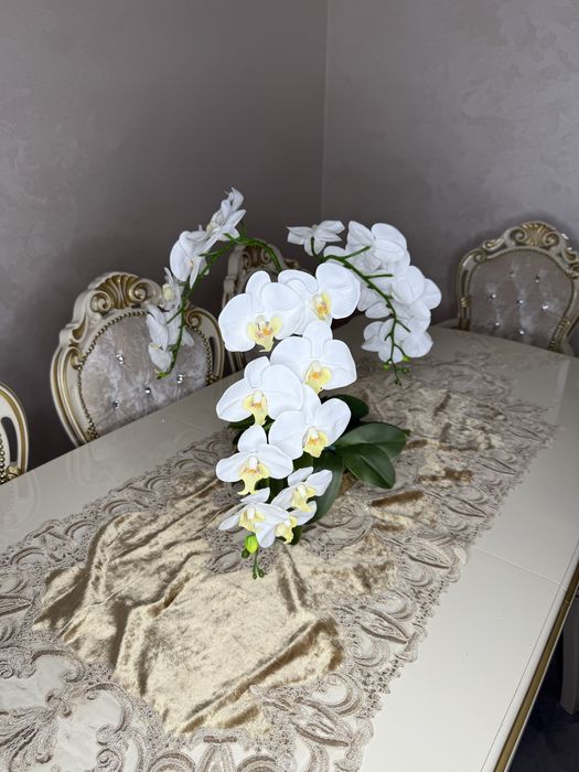 Орхідеї латексні.