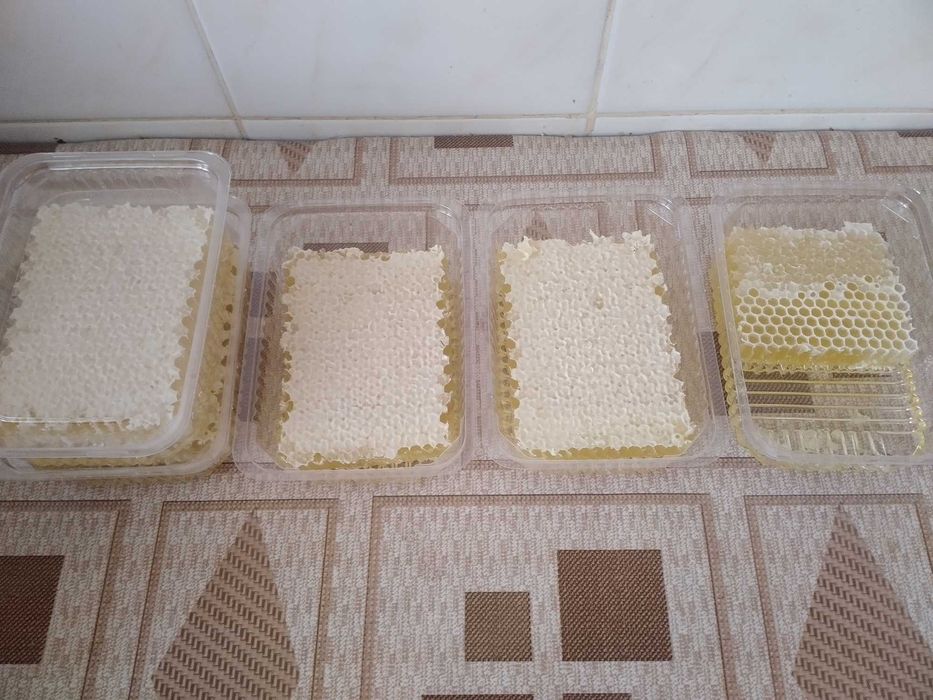 Мед різнотрав'я з власної пасіки (липень, 2025)