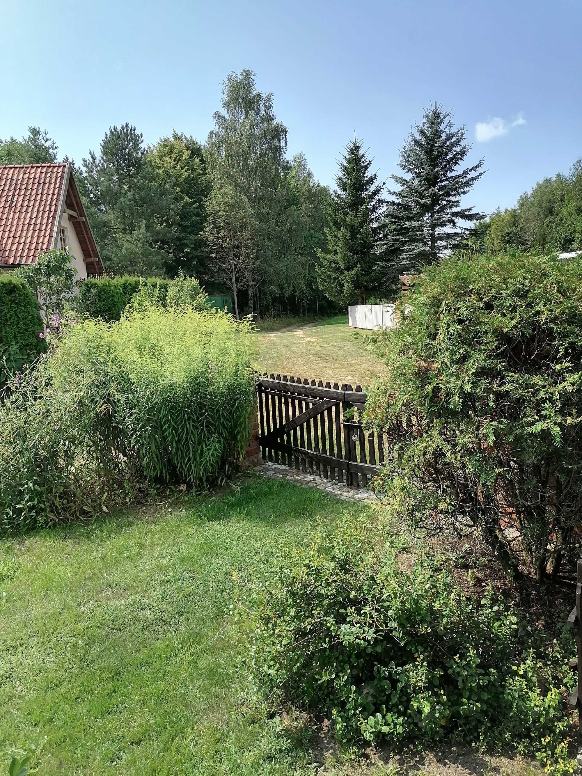 Wynajmę domek letniskowy Blanki