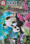 Puzzle 1000 Pandas