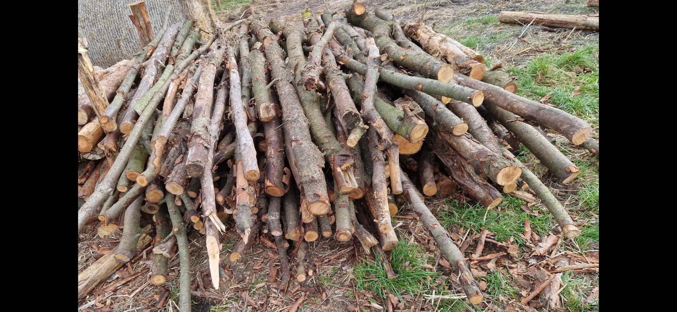 Drewno opałowe Sosna/Czeremcha