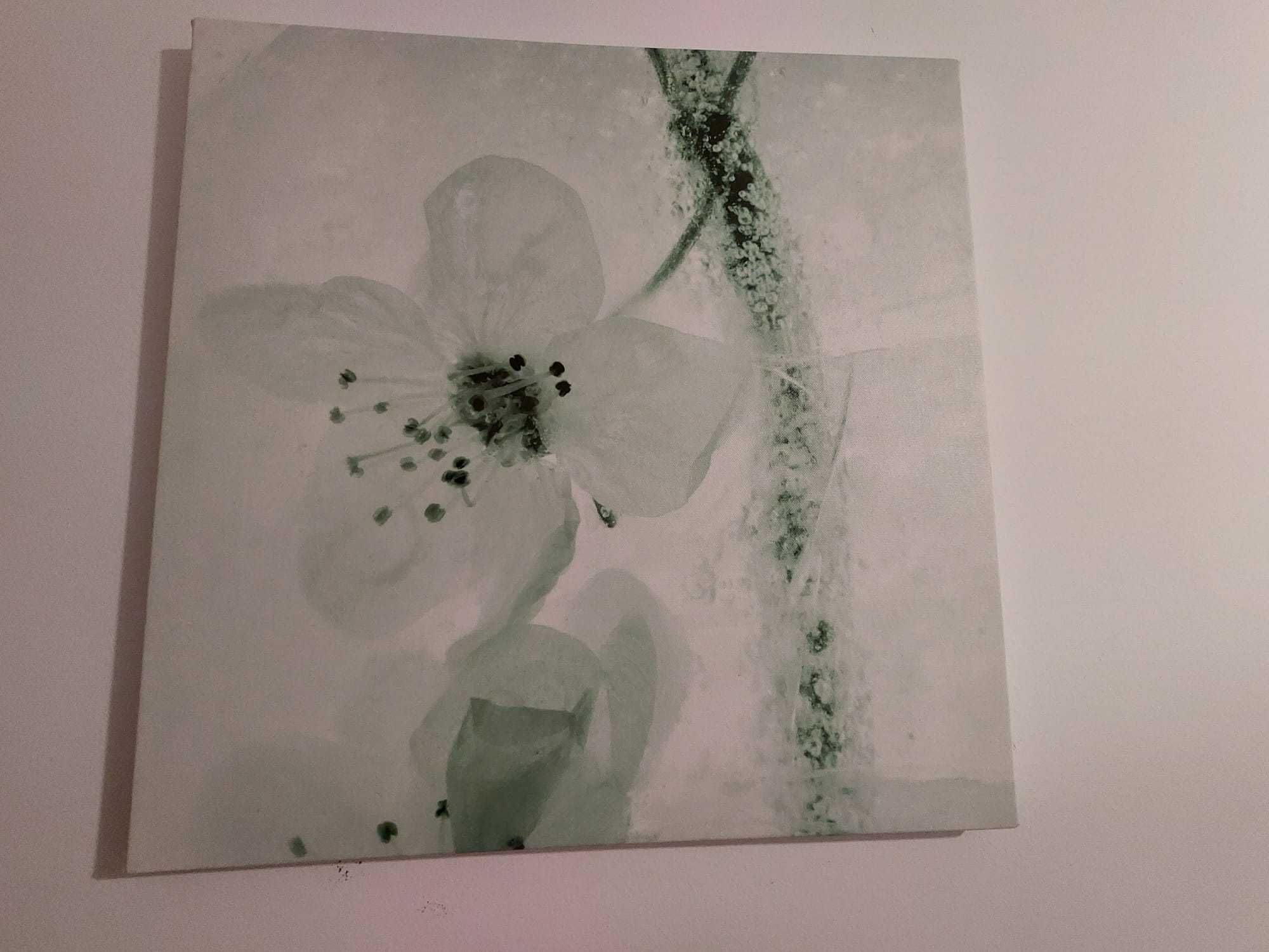 3 Quadros  - Flores em verde