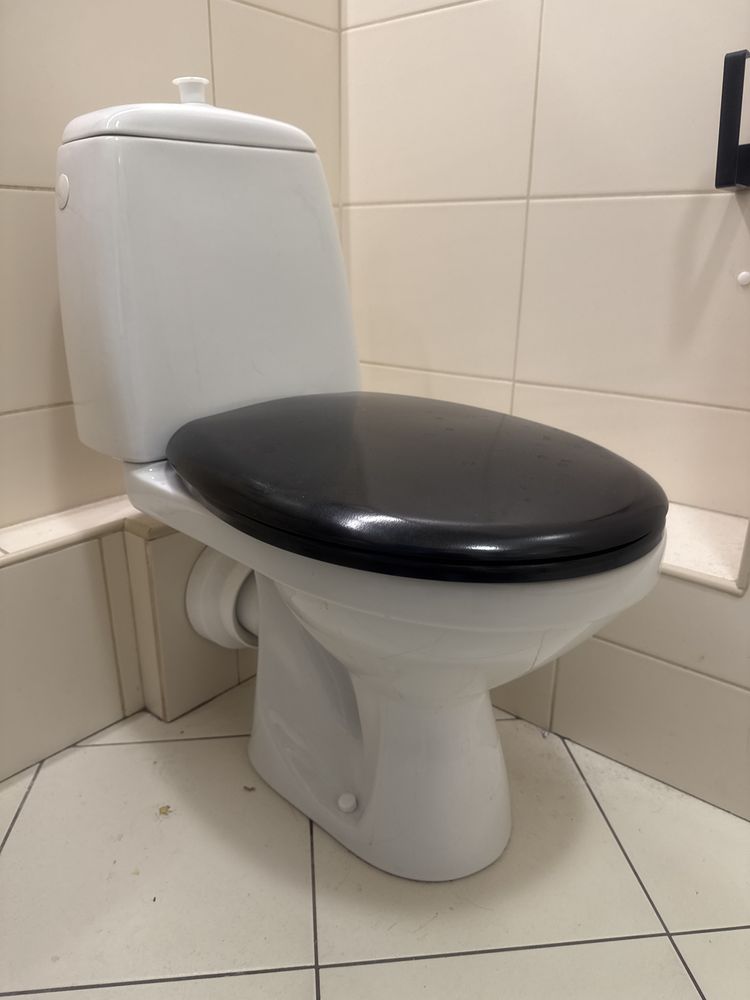 wc wolnostojacy toaleta sedes