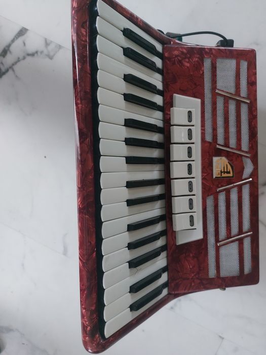 Akordeon flis 80
