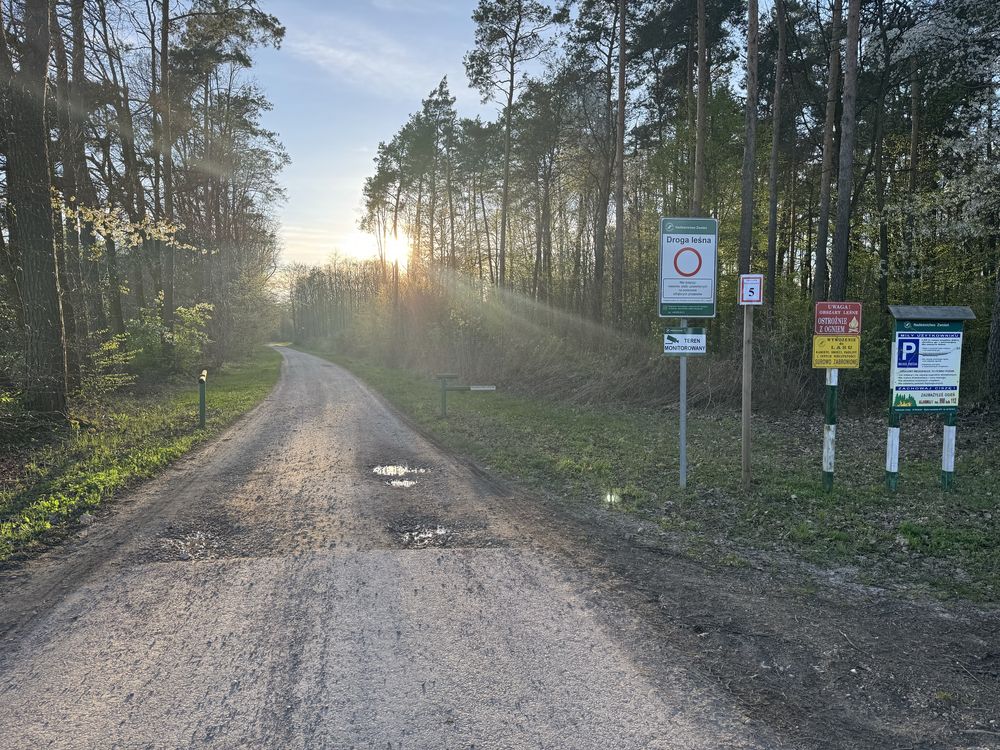 Działka budowlana przy lesie