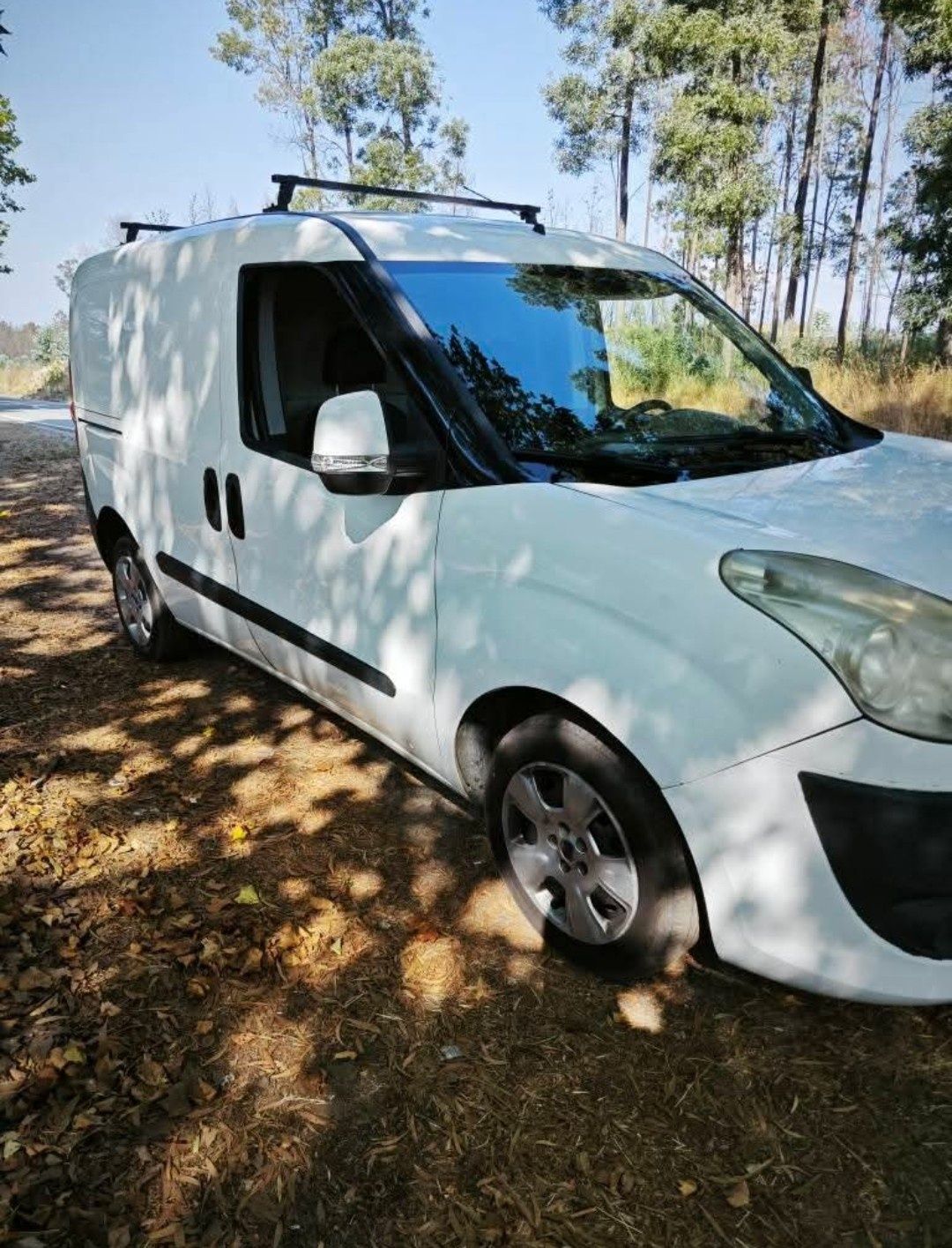 Fiat Doblo 1.3 90 cv (2011)