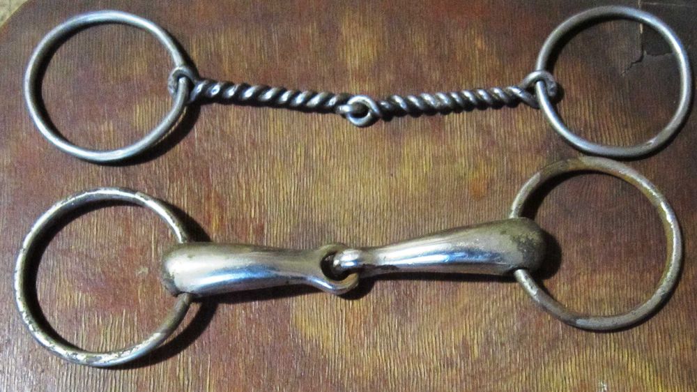 Амуніція для верхового спорту