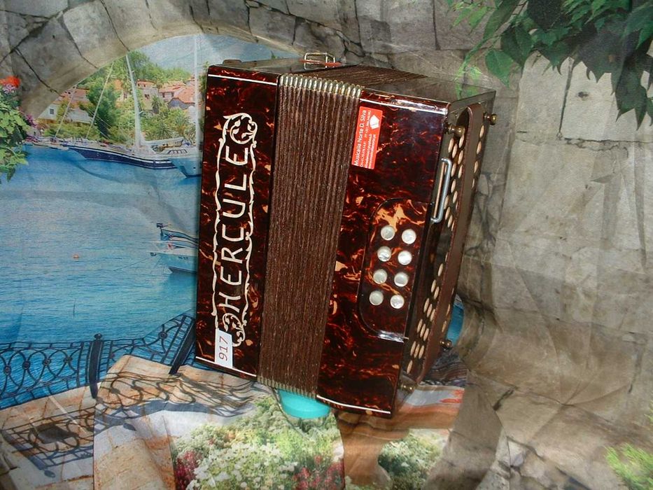Concertina para venda N, 917