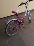 Rower damka 24 cale