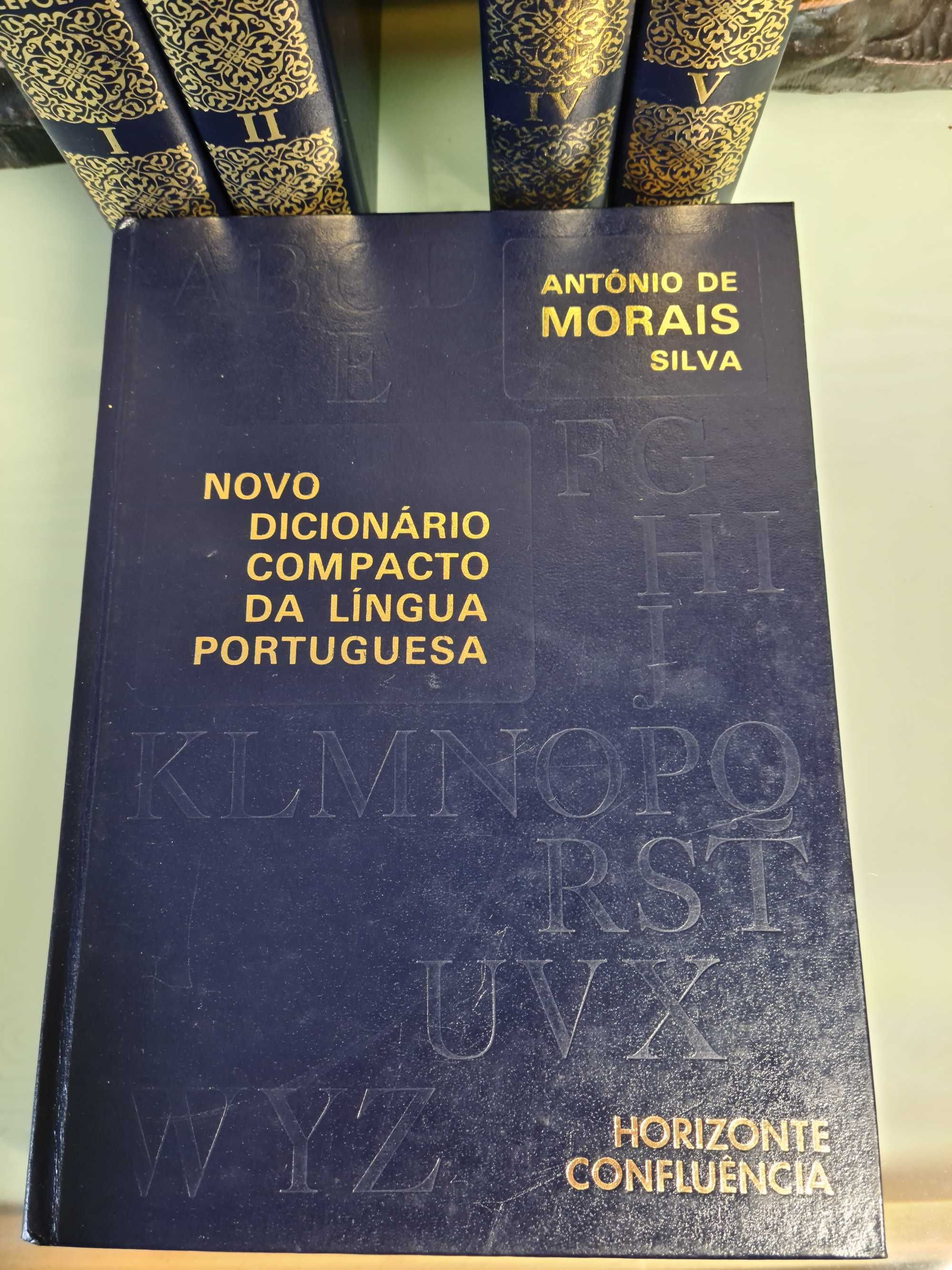 Novo Dicionário Compacto da Lingua Portuguesa