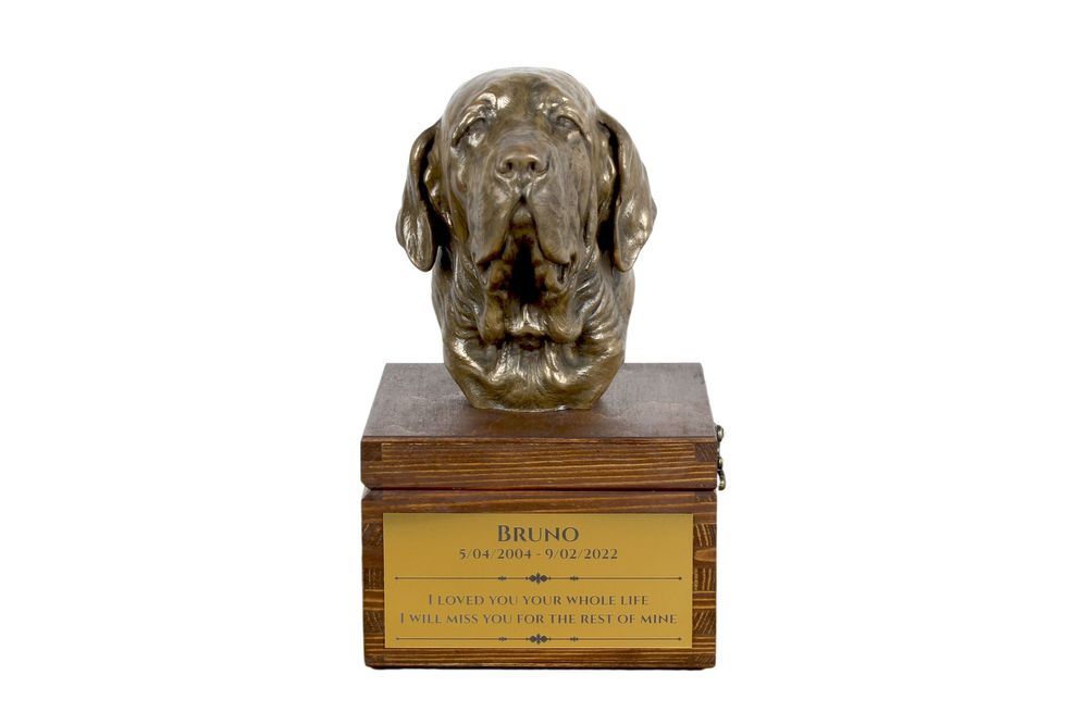 Fila Brasileiro urna na skrzynce brązowa Art-Dog