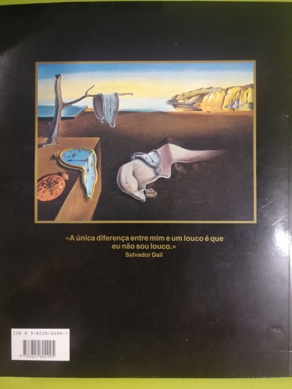 Livro de arte SALVADOR DALI