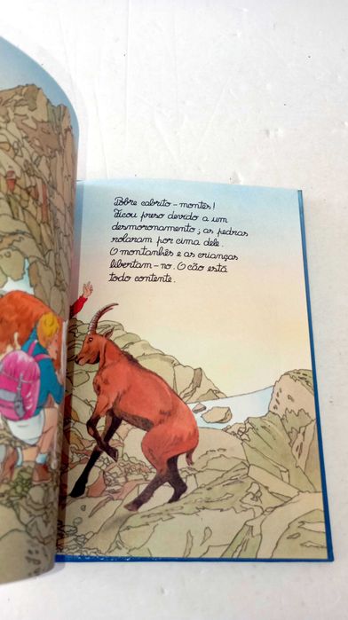 A Montanha - A Pequena Enciclopédia dos 4 aos 7 anos