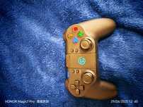 Gamepad Gamesir T1s
