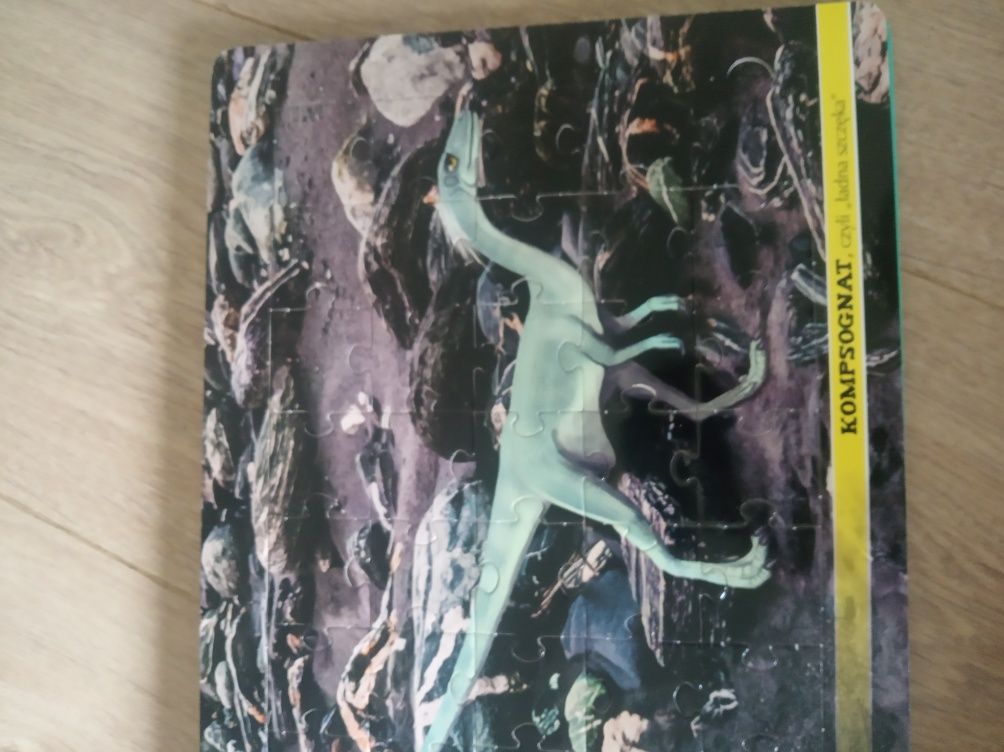 książka inteligentne dinozaury, puzzle