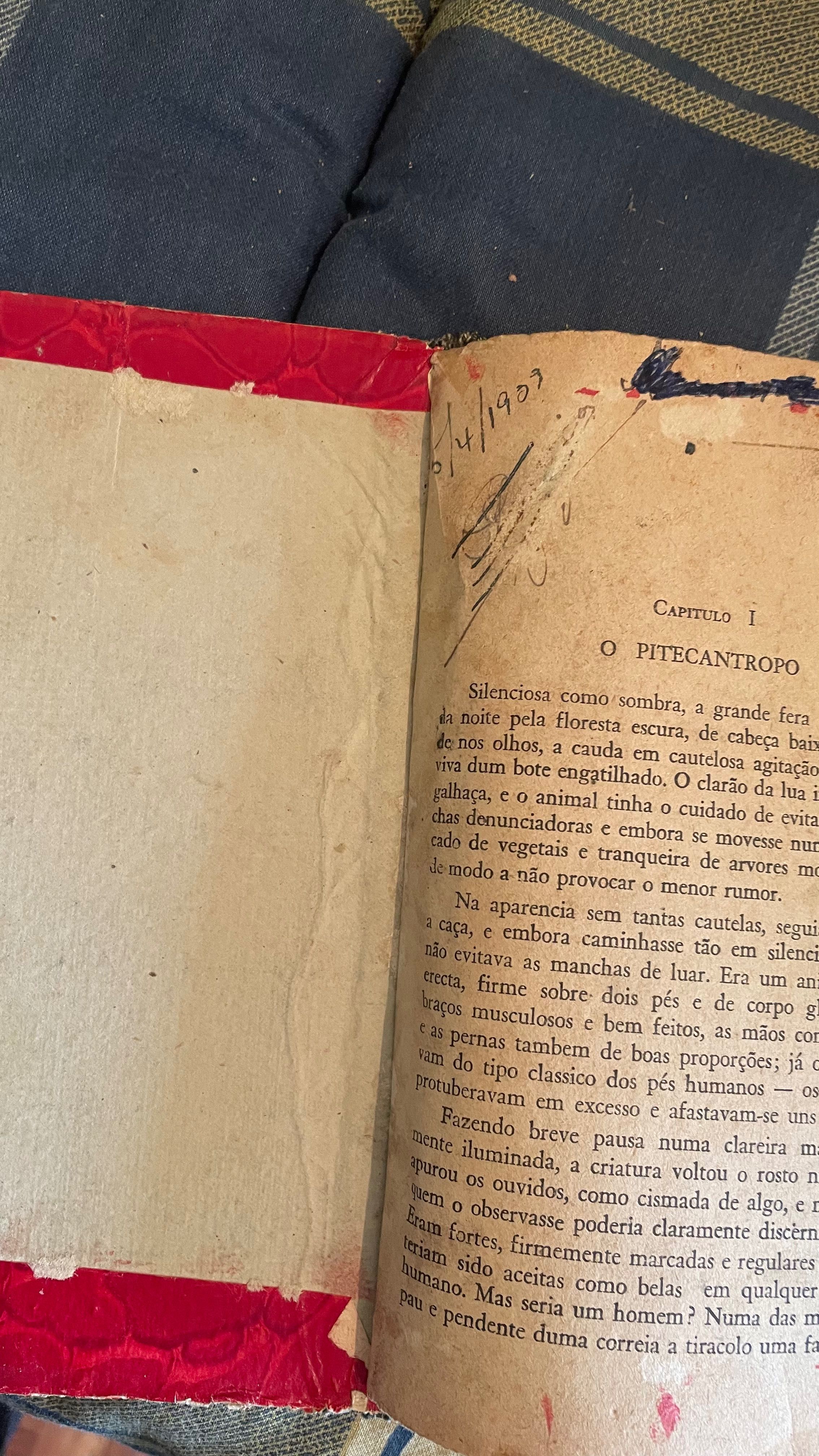 Livro Tarzan, O Terrível