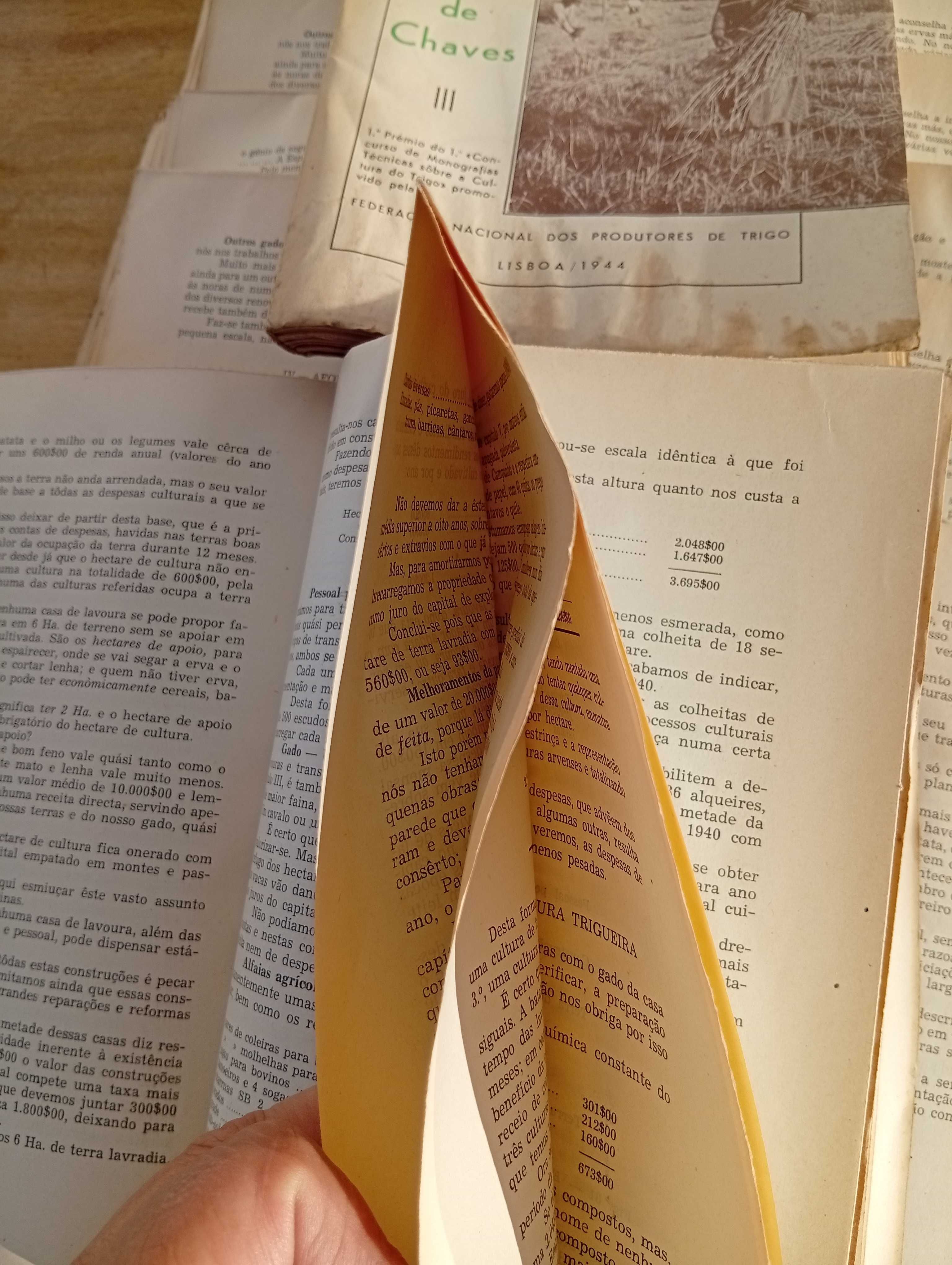 Oito Livros/monografias, vintage, 1944, de Júlio T. Montalvão