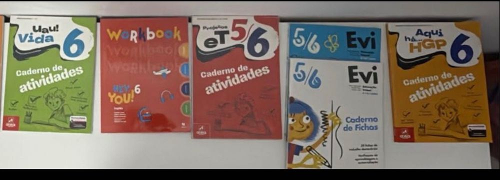 Cadernos de atividades 6 ano NOVOS