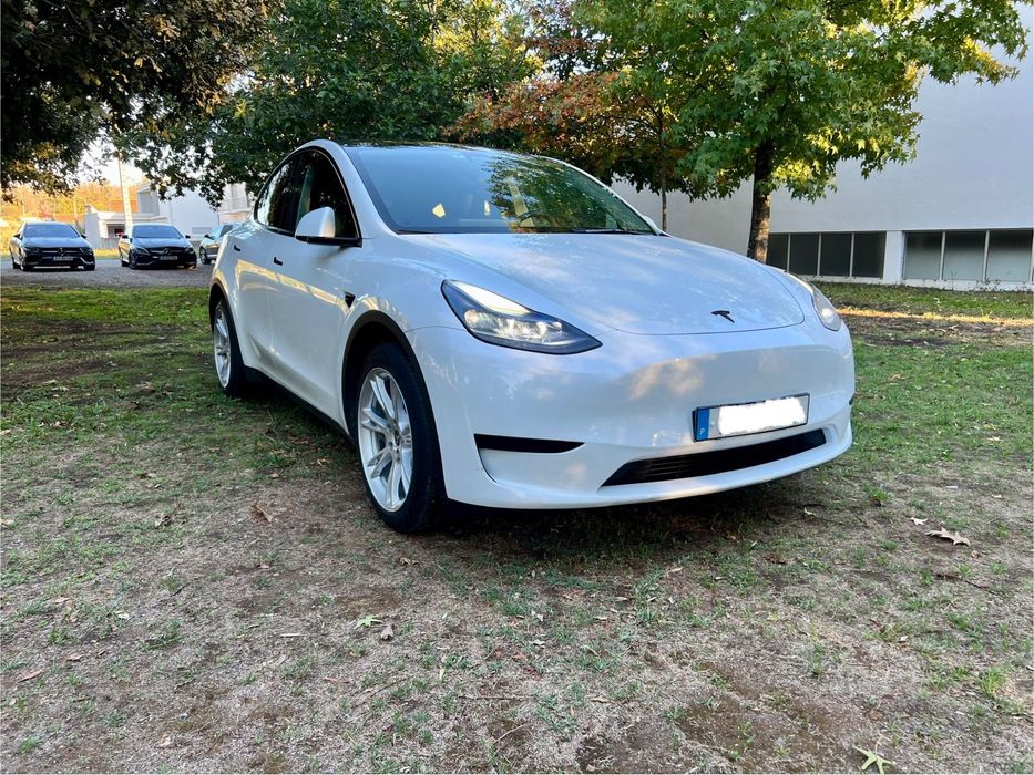 Tesla Model Y Standard