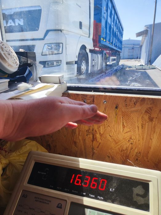 Самоскид контейнеровоз зерновоз заводський полуприцеп 68 кубів