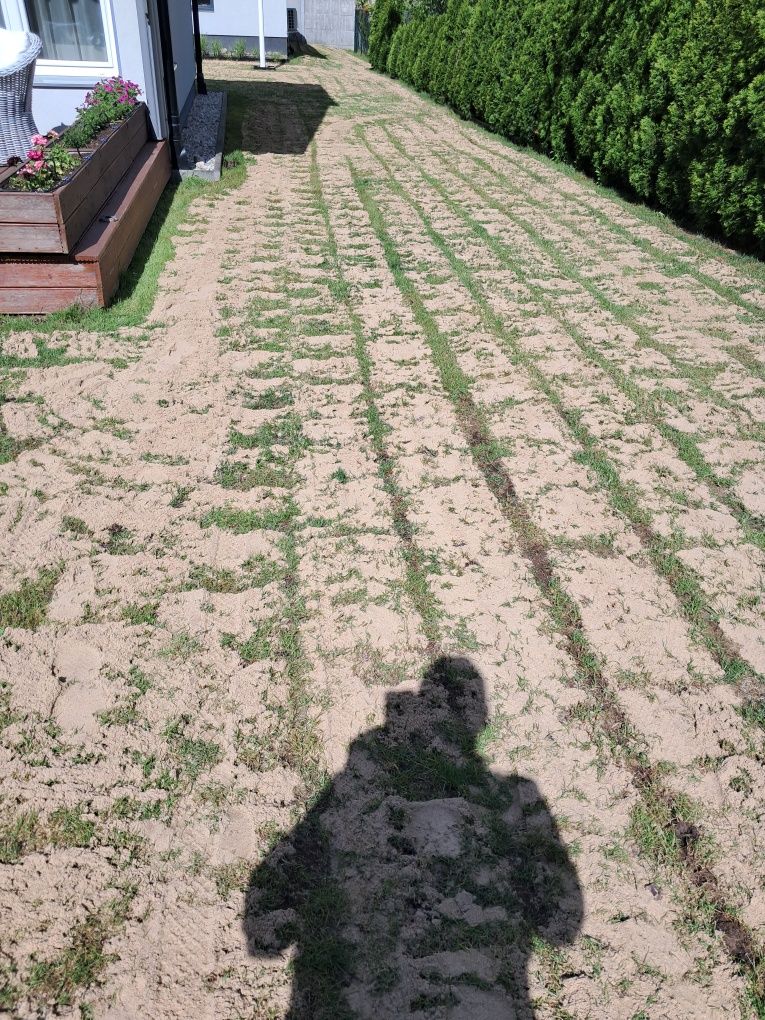 Aerator rurkowy tłokowy wynajem 400zl  Wertykulator 150zlPiła krajzega