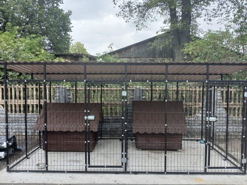 Klatki I Kojce dla Psów i Zwierząt Producent Transport Zapraszamy