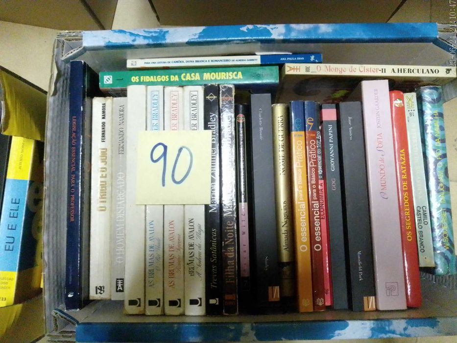 LIVROS Diversos  VENDIDOS EM SEPARADO Vários Preços LOTES 90 + 92 + 93