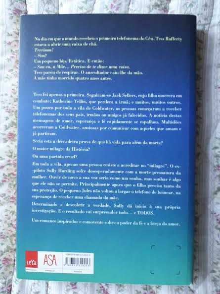 Uma chamada do céu - Mitch Albom