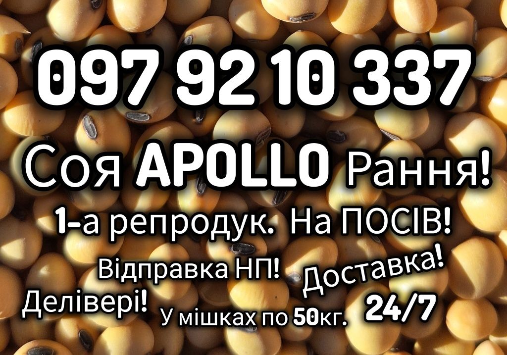 Соя АПОЛЛО на ПОСІВ! Рання 1-а репродук.  Доставка! Відправка НП!