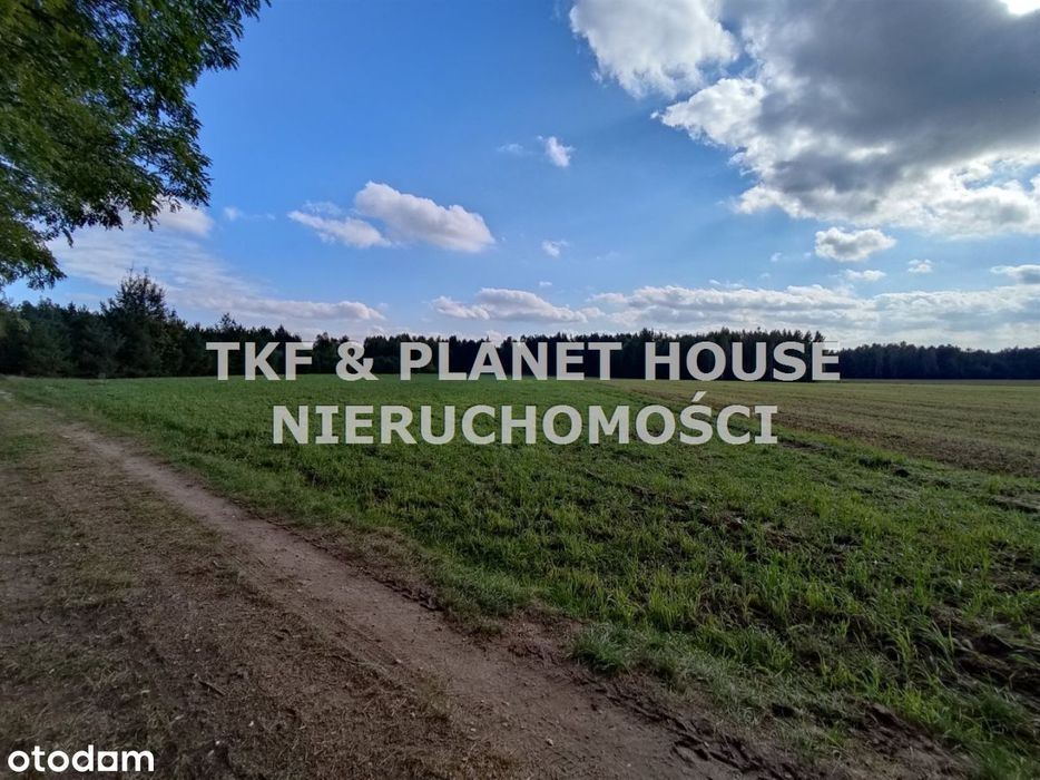 Działka rolna na sprzedaz 1,2 ha Sielec/Opoczno