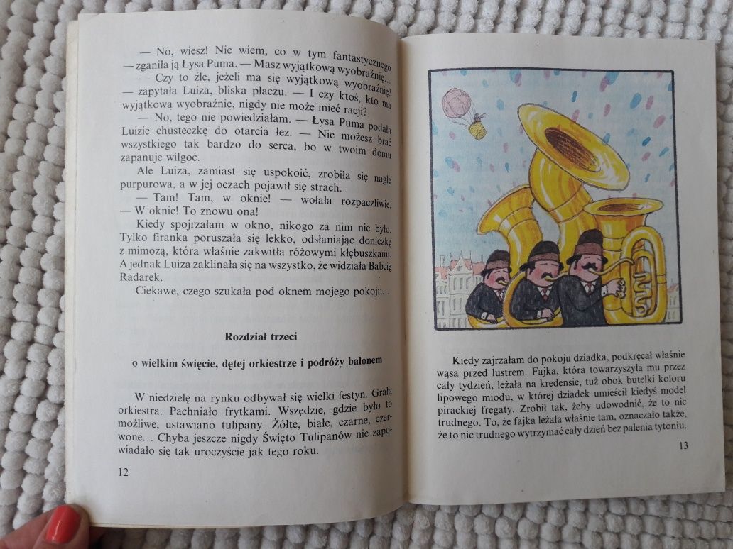 Wampusia czyli o świnice morskiej sen spełniony książka dla dzieci