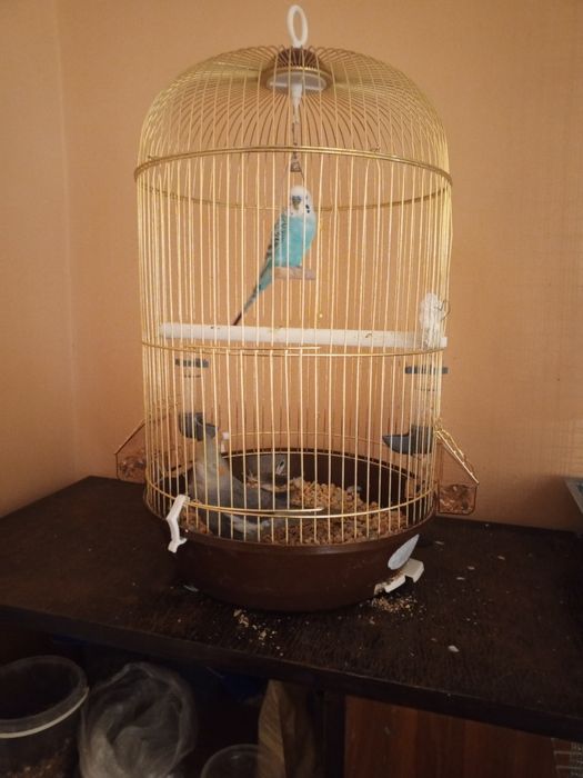 Продам клетку для птиц