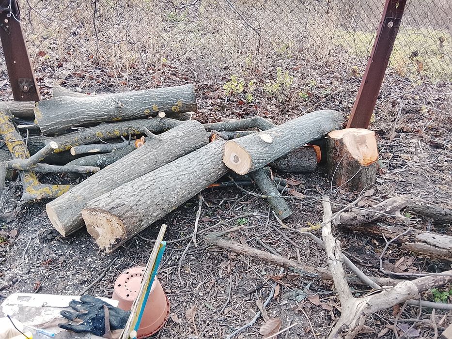 Продам дрова не дорого
