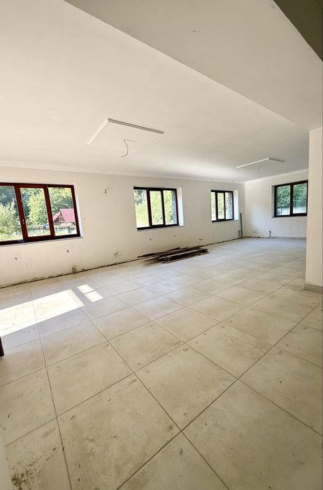 Будинок 290м2, Карпати, м. Свалява