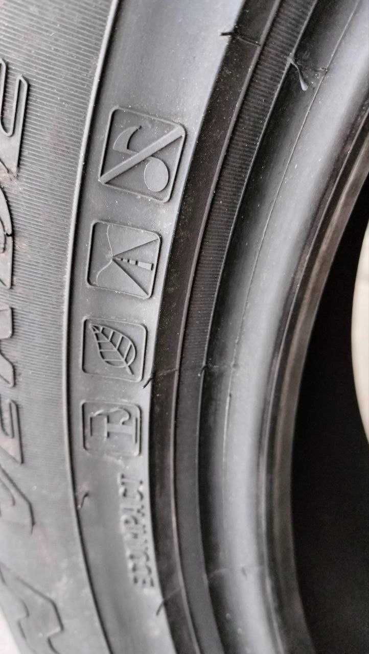 225.55.19 літо пара 20 рік
