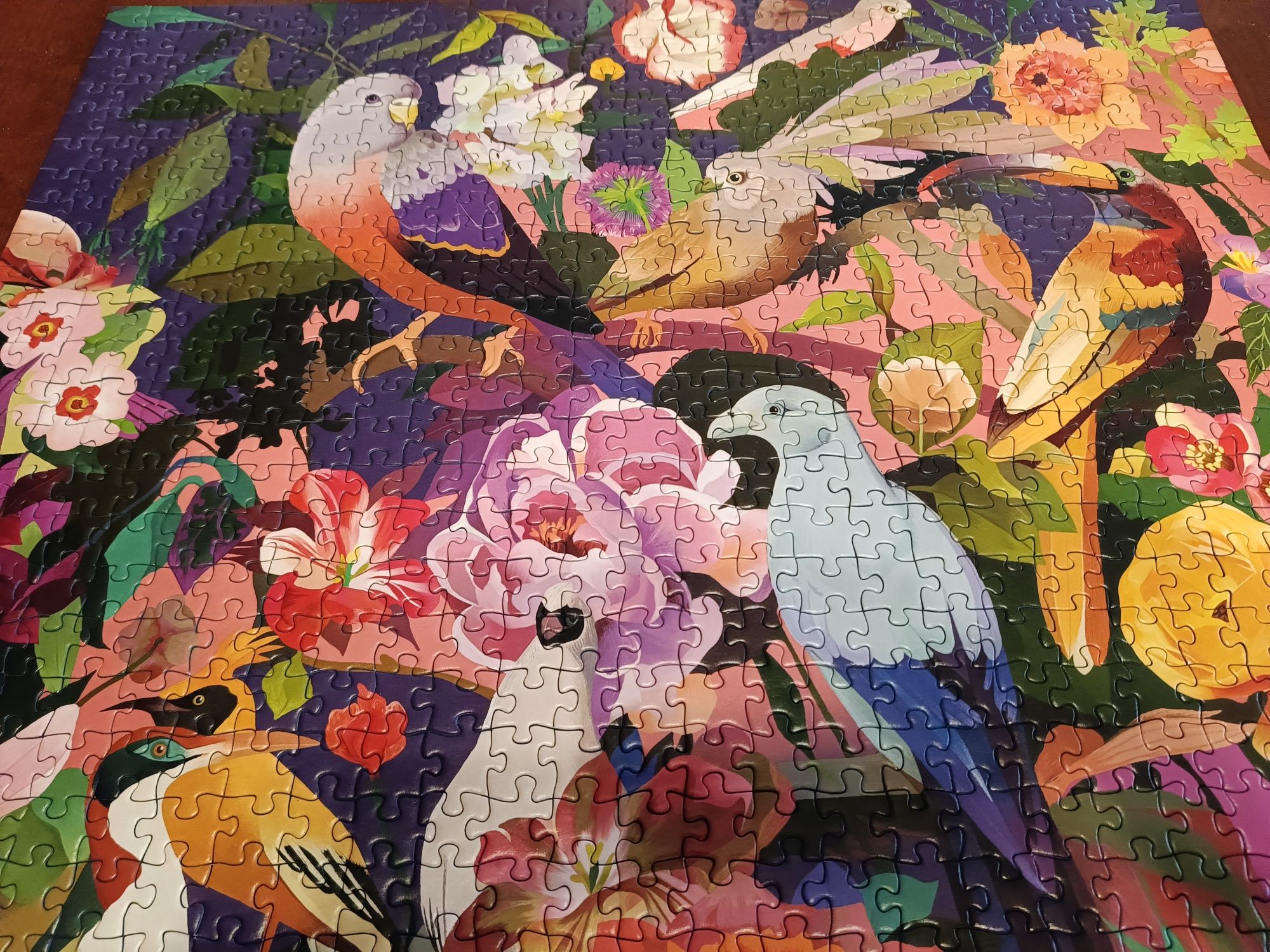 Puzzle 750 Kolorowe ptaki, kolorowe kwiaty