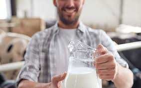 Фермерська молочна продукція: молоко, творог, сметана, йогурт, масло
